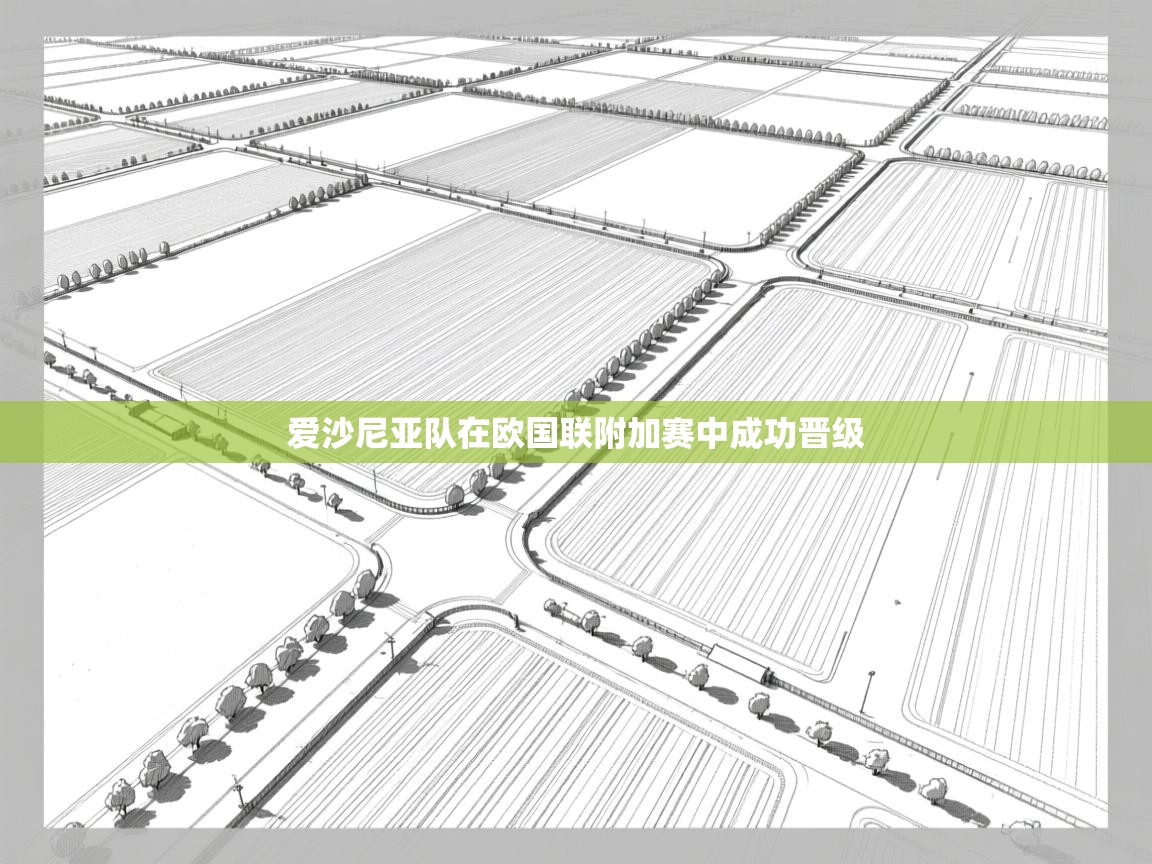 爱沙尼亚队在欧国联附加赛中成功晋级 第1张