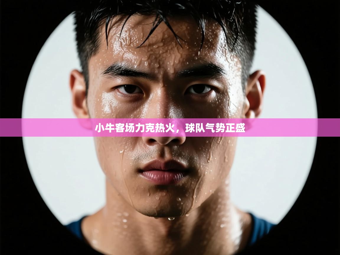 小牛客场力克热火，球队气势正盛
