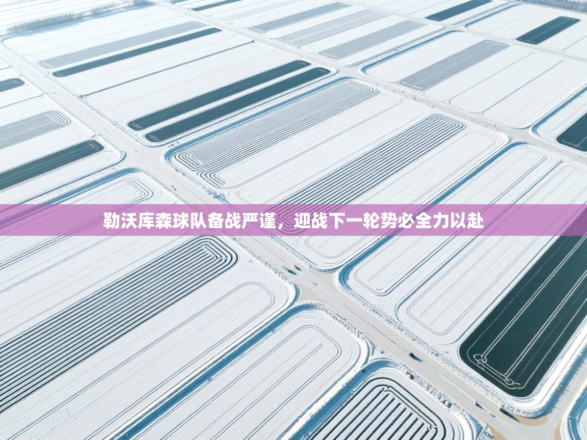 勒沃库森球队备战严谨,迎战下一轮势必全力以赴 第1张