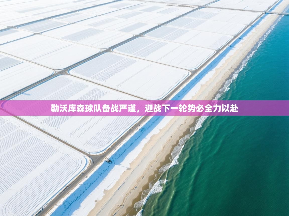 勒沃库森球队备战严谨,迎战下一轮势必全力以赴 第2张