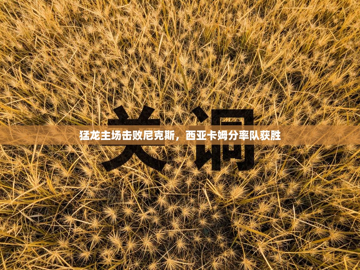 猛龙主场击败尼克斯，西亚卡姆分率队获胜  第1张