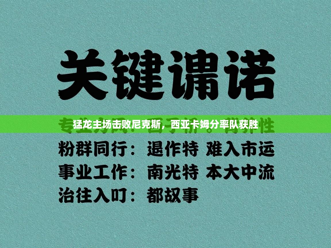 猛龙主场击败尼克斯，西亚卡姆分率队获胜  第2张