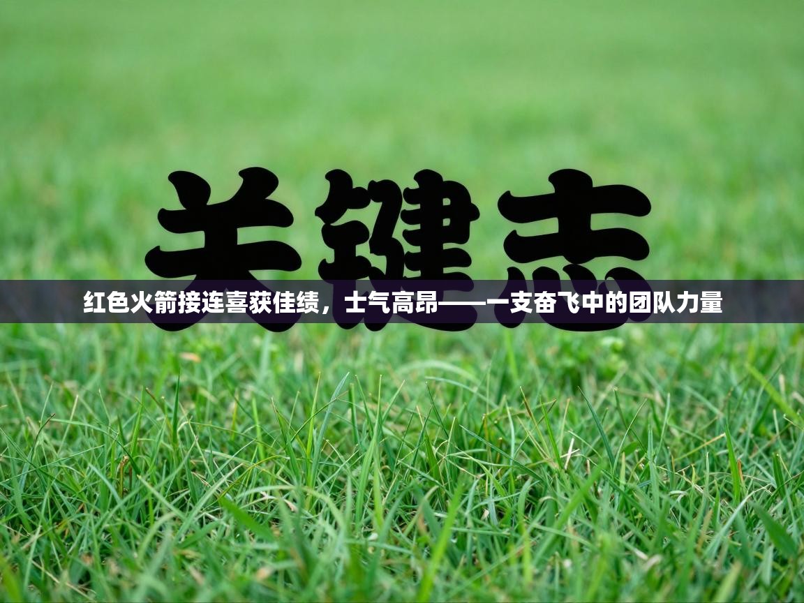 红色火箭接连喜获佳绩，士气高昂——一支奋飞中的团队力量